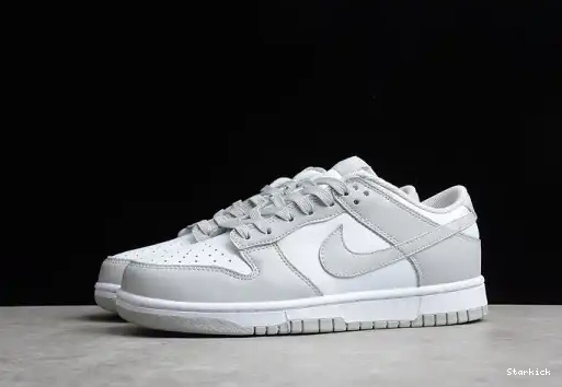 Low Dunk Nike Grey Fog DD1391-103 0610
